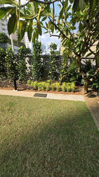 Lentor Central (D26), Condominium #606895661